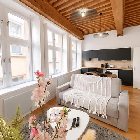 Cosy Appt Coeur De Du Boeuf 3 Lyon